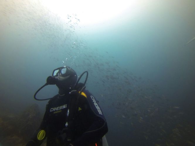 bccf1cf8582fde0d7770b39d1a7c68f3