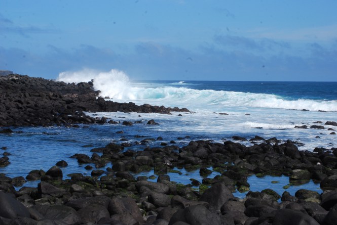 The shoreline near La Lobería