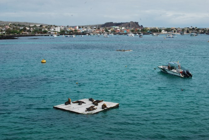 Puerto Baquerizo Moreno, San Cristobál