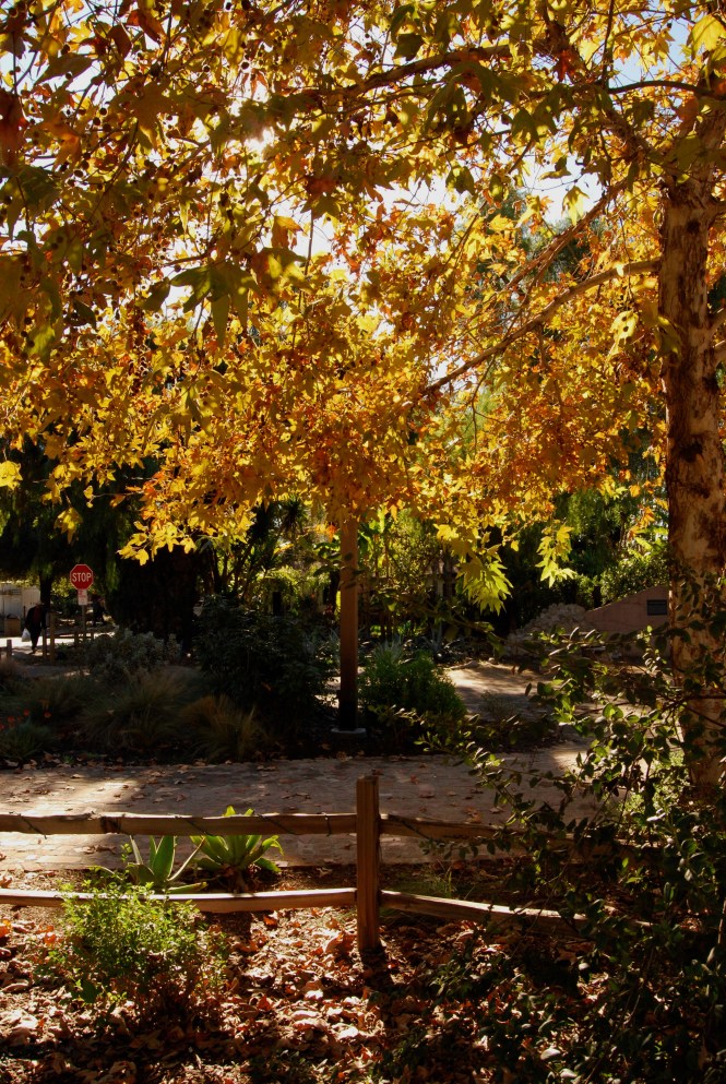 Downtown San Juan Capistrano.